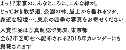 えっ！？東京のこんなところに、こんな緑が。とっておき散歩道、公園の林、屋上から垂れるツタ、身近な秘境…、東京の四季の写真をお寄せください。